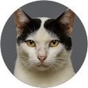 yoga mahendra pandia profile picture